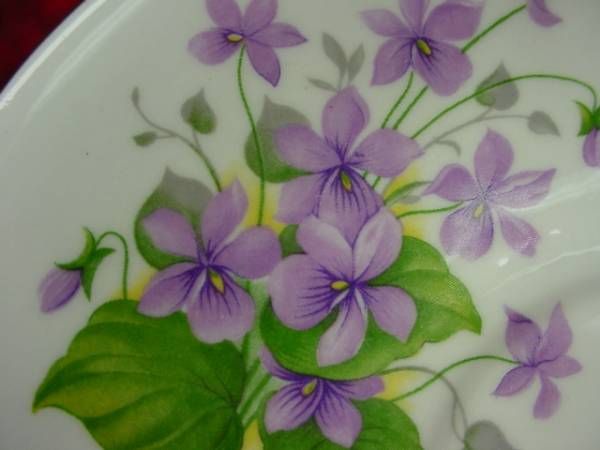 Royal Victoria England CUP & SAUCER SET Floral VIOLETS  