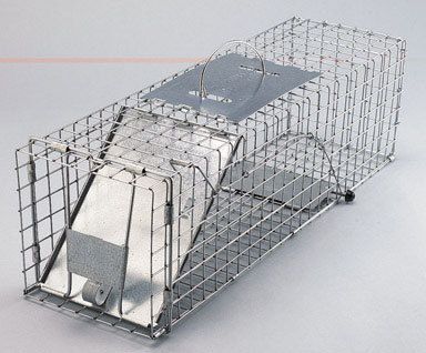 Havahart Trap 1078 for SKUNKS rabbits (24x 7x 7  