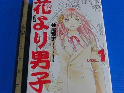 MANGA Hana yori Dango Collectors Edition Kanzenban 1 F  