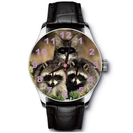 New Cat With Raccoons Stainless Wristwatch Wrist Watch  
