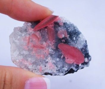 2668 BEAUTIFUL Pastel Rhodochrosite on Quartz LARGE 2  