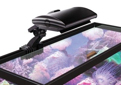 Coralife Hang On Tank 150w HQI Aqualight Live Coral  