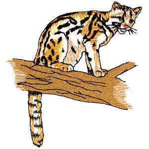 Cute Rare Margay Big Wild Cat Iron on Patch  