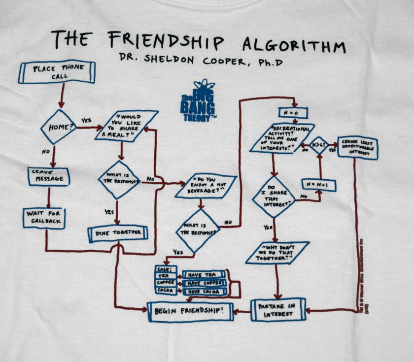 The Big Bang Theory Friendship Algorithm T Shirt Tee  