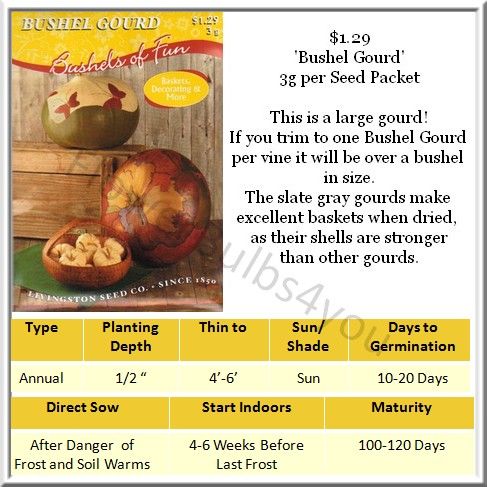 bushel gourd is