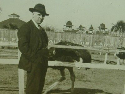 Old MAN in HAT & OSTRICH @ ALLIGATOR FARM PHOTO Vintage  