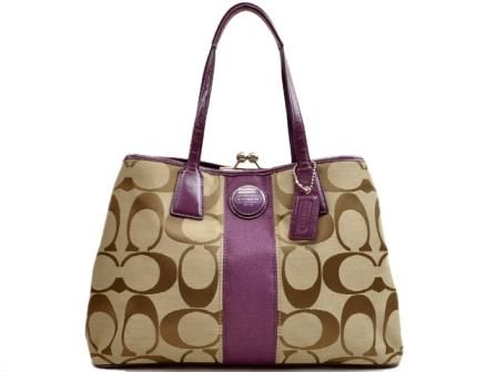 NWT Coach F13533 SIG Stripe Frame Carryall Purse  