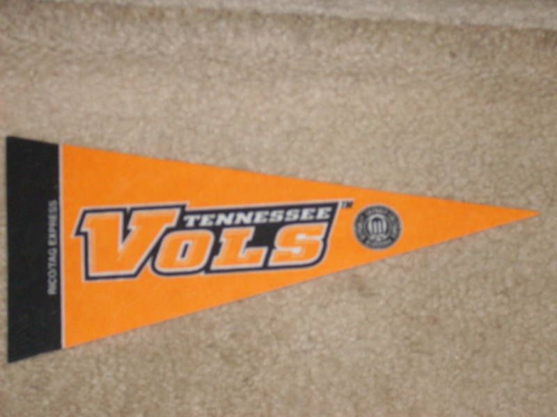 Tennessee Volunteers SEC Mini Pennant (felt)  