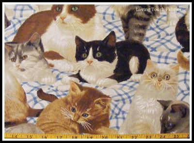 DAISY KINGDOM MIXED CATS ALLOVER FABRIC  