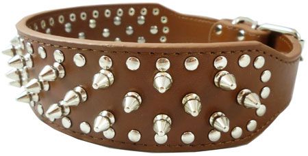 Rottweiler Leather Dog Collar Spiked Studded 19 22  