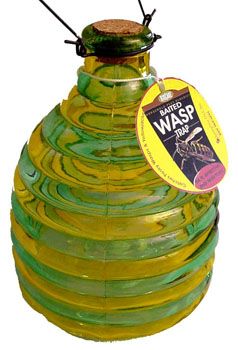 SpringStar Glass Wasp Trap w/Lure  